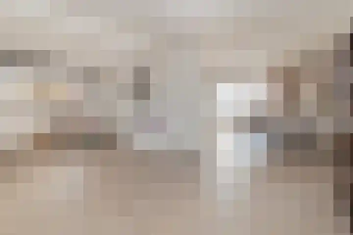 Delweide 32 Nieuwstadt thumbnail 15
