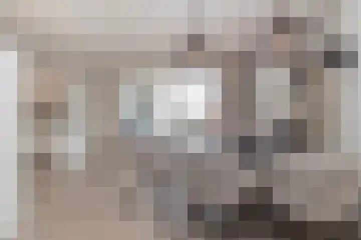 Delweide 32 Nieuwstadt thumbnail 18