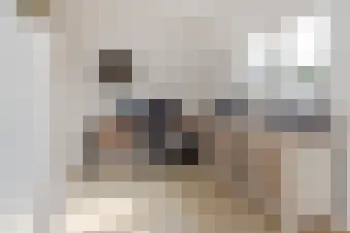 Delweide 32 Nieuwstadt thumbnail 22
