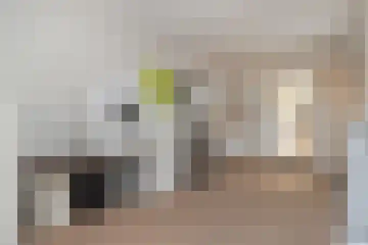 Delweide 32 Nieuwstadt thumbnail 26