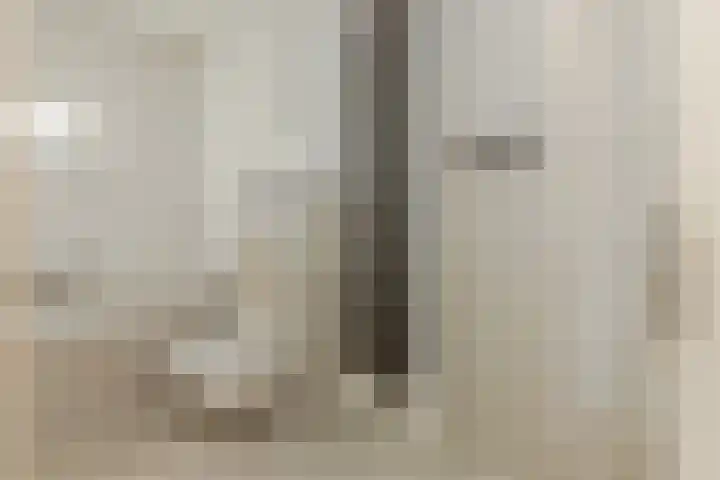 Delweide 32 Nieuwstadt thumbnail 28