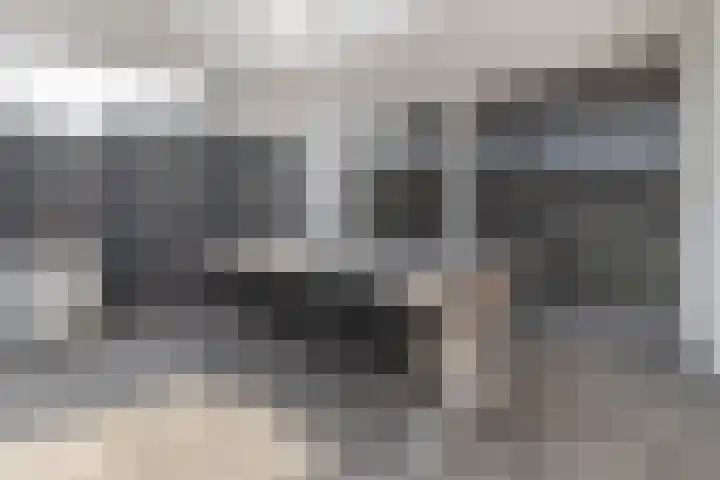 Delweide 32 Nieuwstadt thumbnail 34