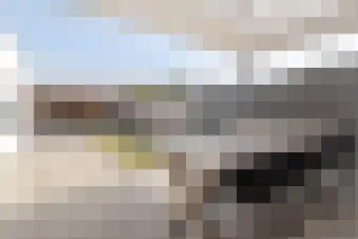 Delweide 32 Nieuwstadt thumbnail 36