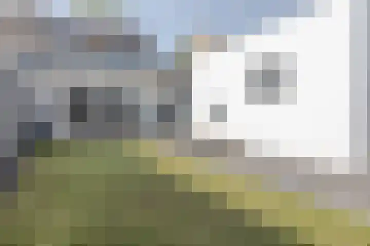 Delweide 32 Nieuwstadt thumbnail 39