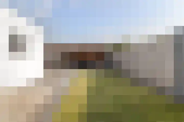 Delweide 32 Nieuwstadt thumbnail 41