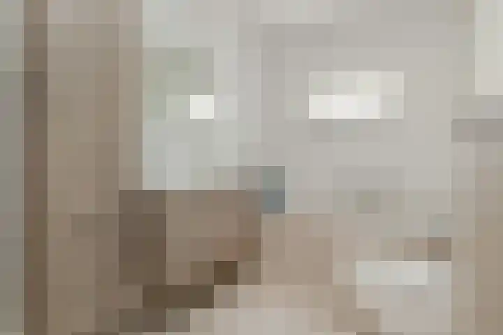 Delweide 32 Nieuwstadt thumbnail 5