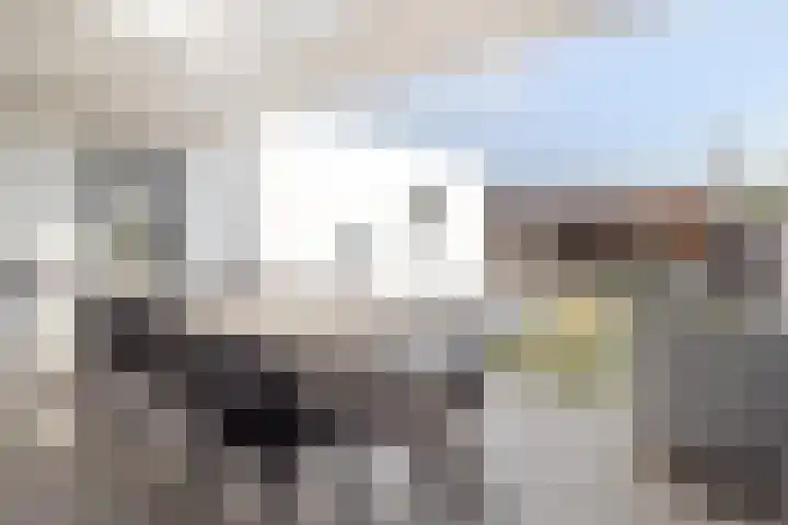 Delweide 32 Nieuwstadt thumbnail 6
