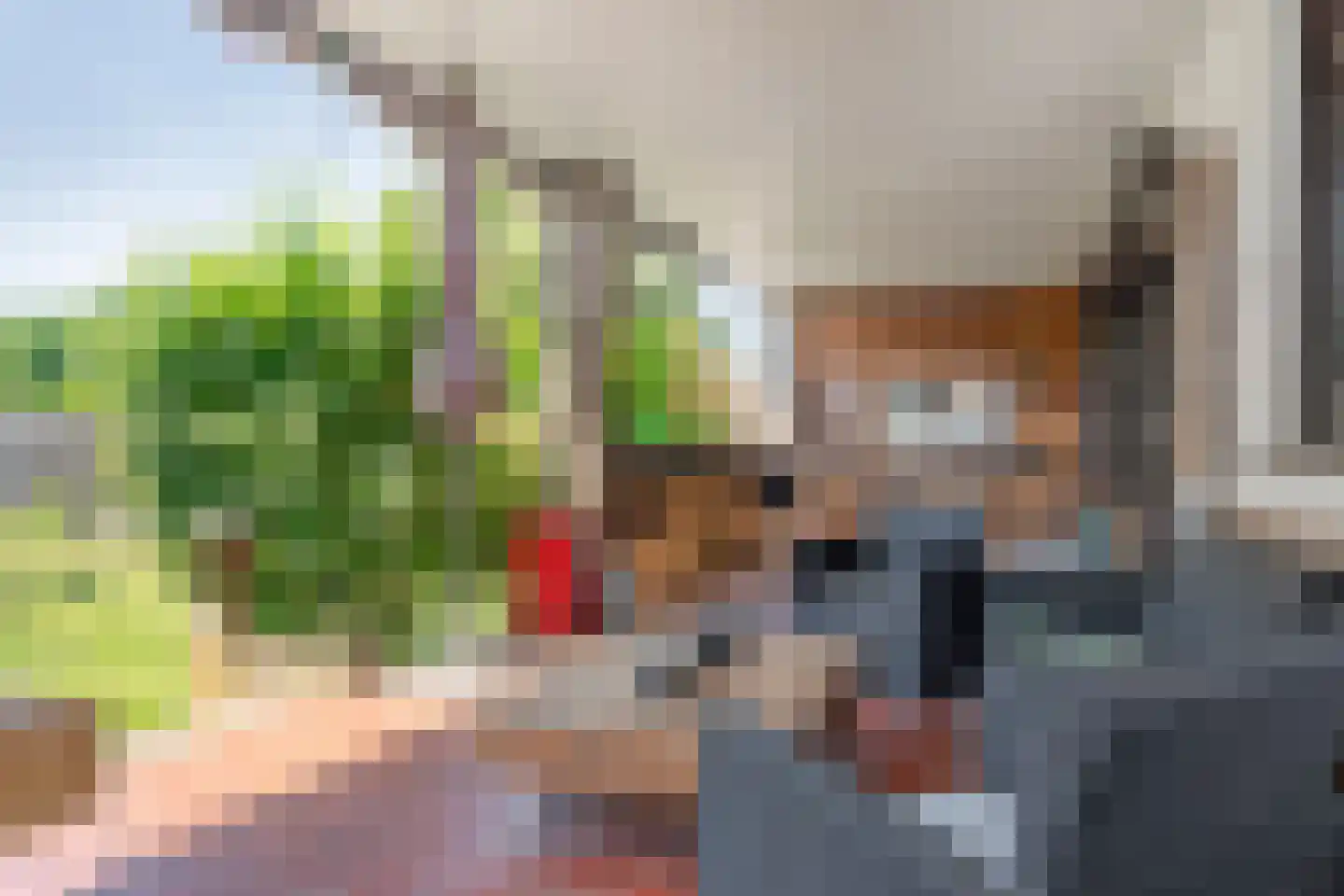 Delweide 5 Nieuwstadt thumbnail 13
