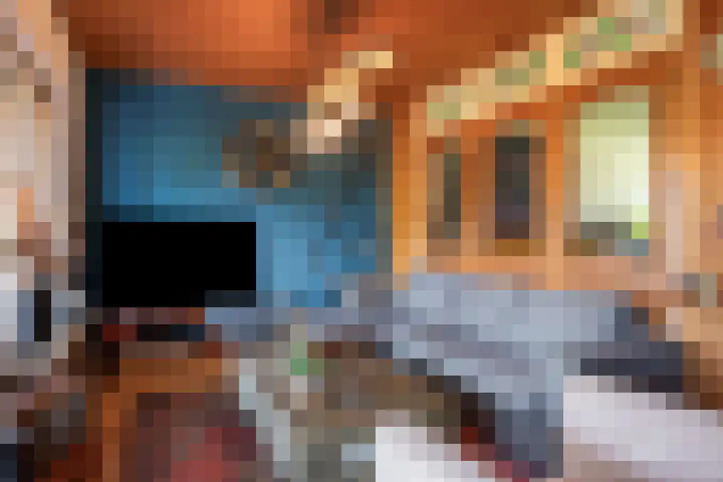 Delweide 5 Nieuwstadt thumbnail 18