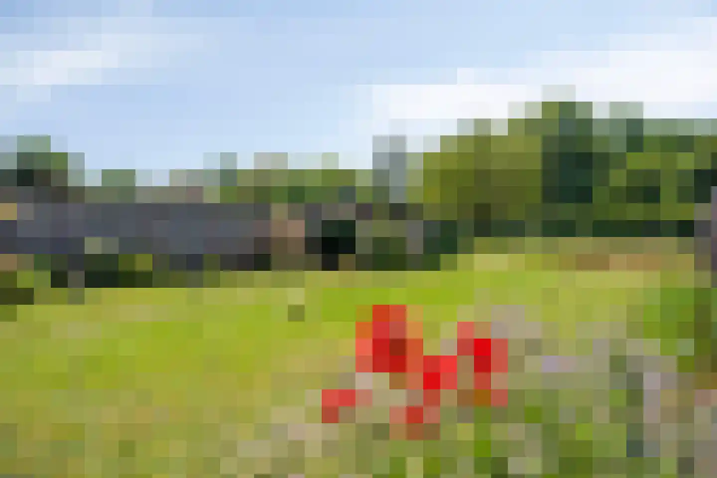 Delweide 5 Nieuwstadt foto 2
