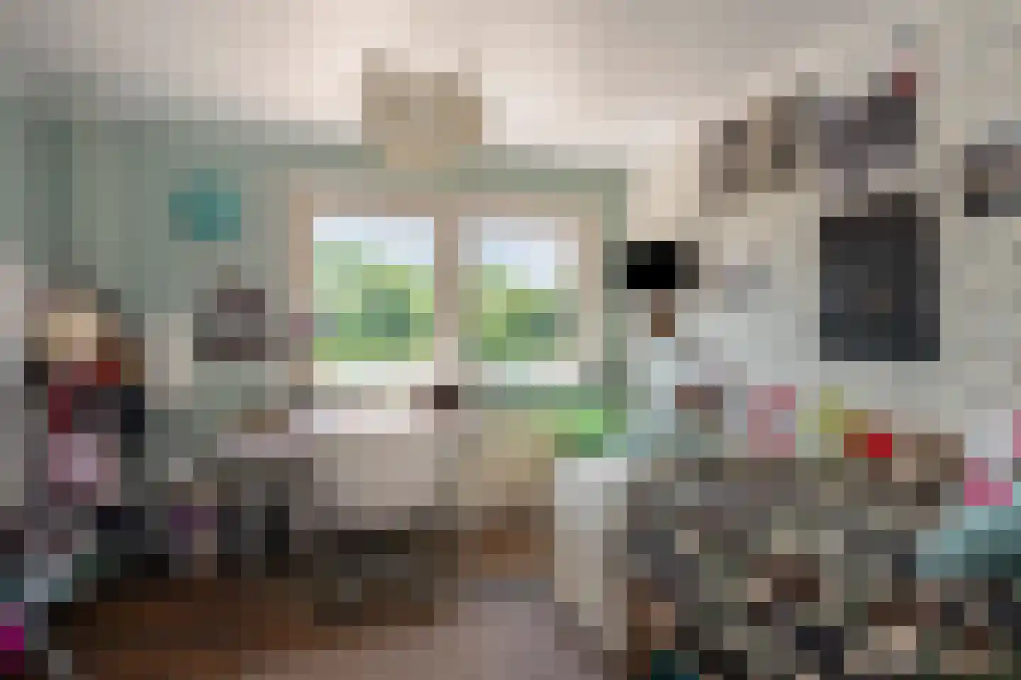 Delweide 5 Nieuwstadt thumbnail 22