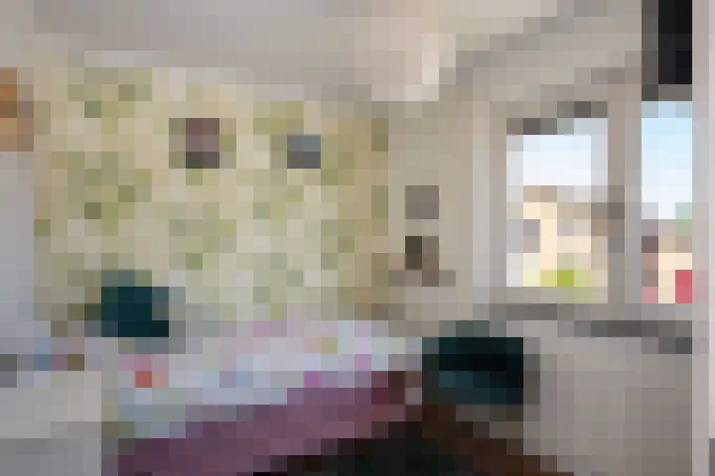 Delweide 5 Nieuwstadt thumbnail 23