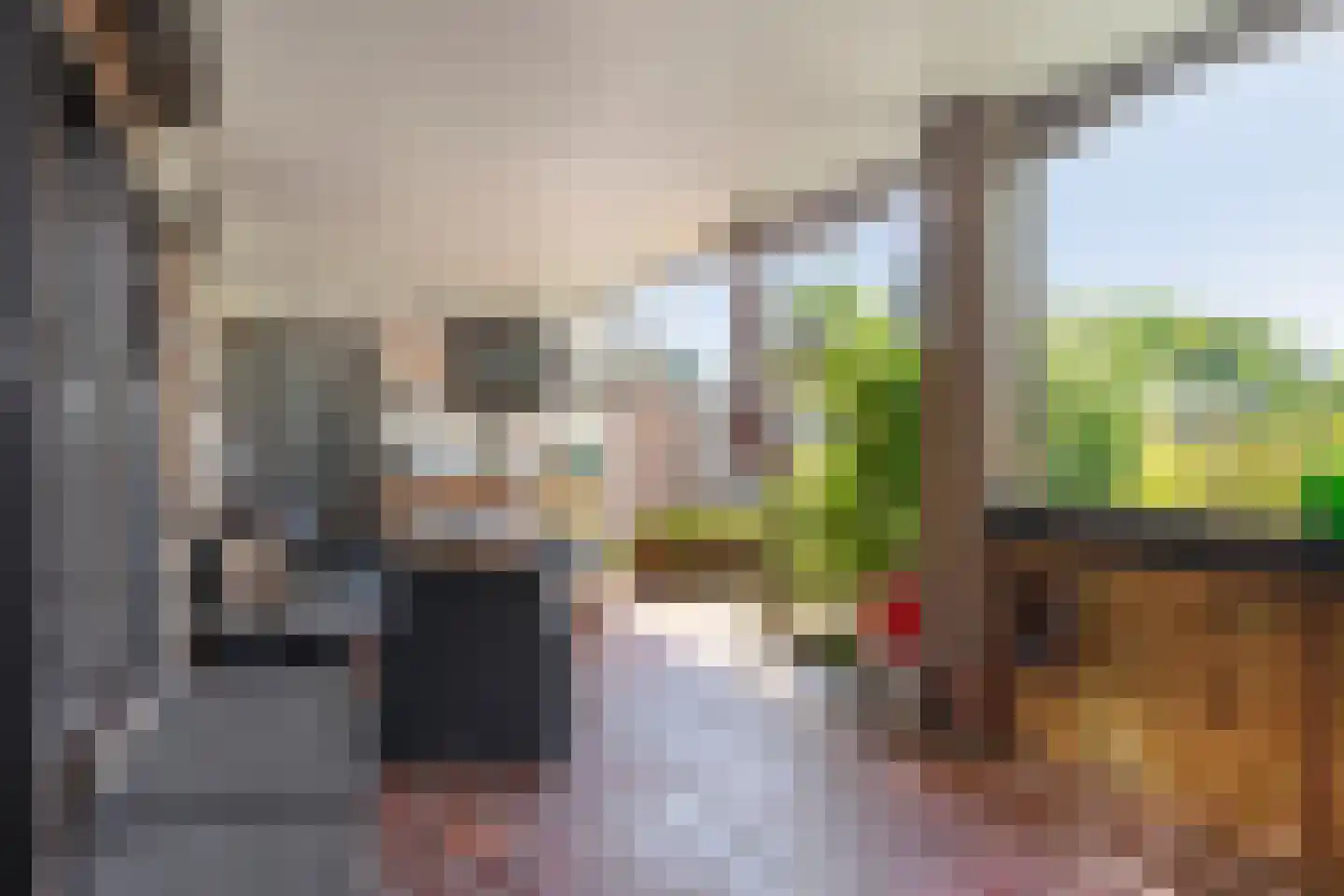 Delweide 5 Nieuwstadt thumbnail 24