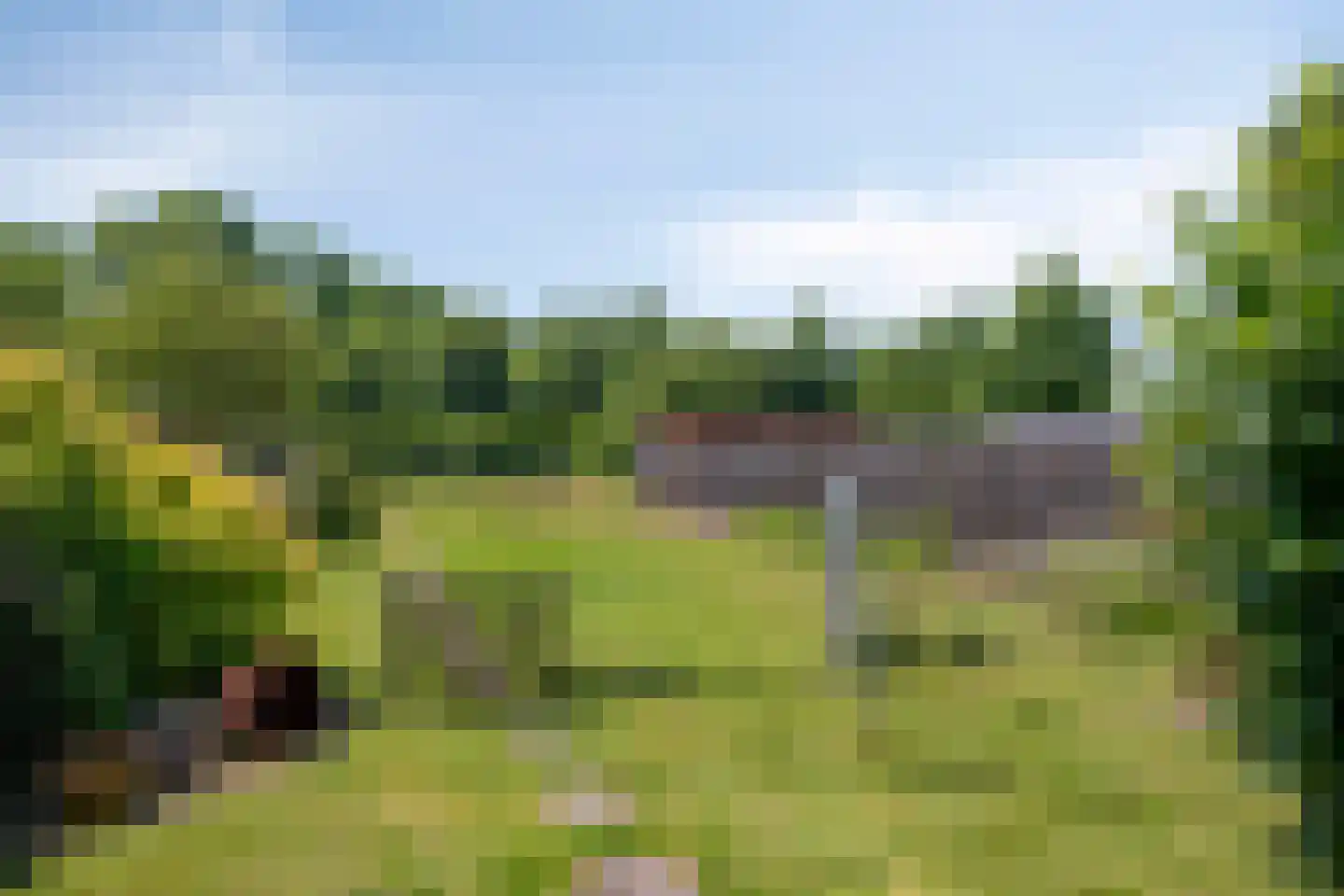 Delweide 5 Nieuwstadt thumbnail 25