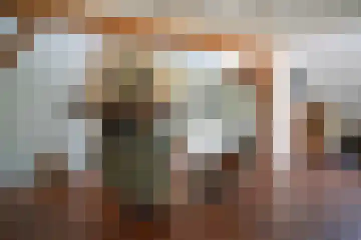 Delwijnsekade 12 Delwijnen thumbnail 10