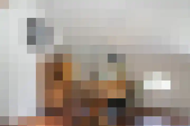 Delwijnsekade 12 Delwijnen thumbnail 12