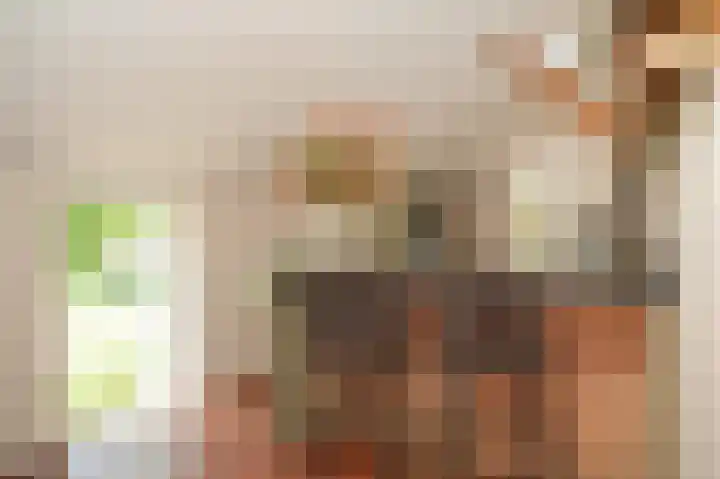 Delwijnsekade 12 Delwijnen thumbnail 13