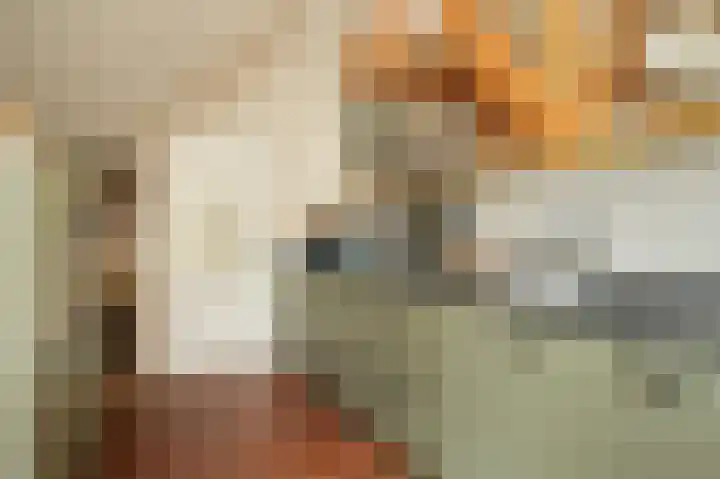 Delwijnsekade 12 Delwijnen thumbnail 14