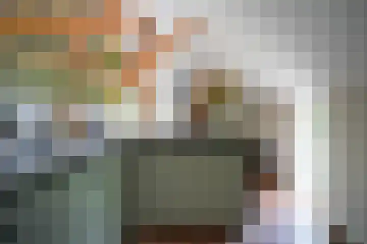 Delwijnsekade 12 Delwijnen thumbnail 15