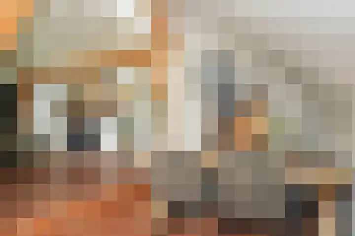 Delwijnsekade 12 Delwijnen thumbnail 17