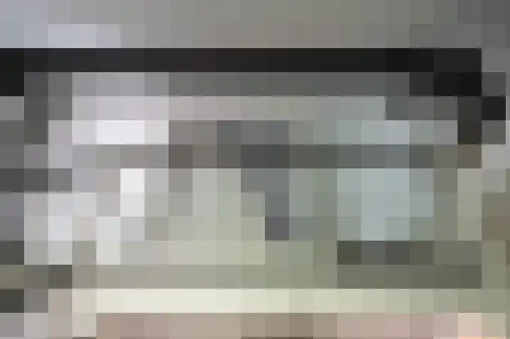 Delwijnsekade 12 Delwijnen thumbnail 19