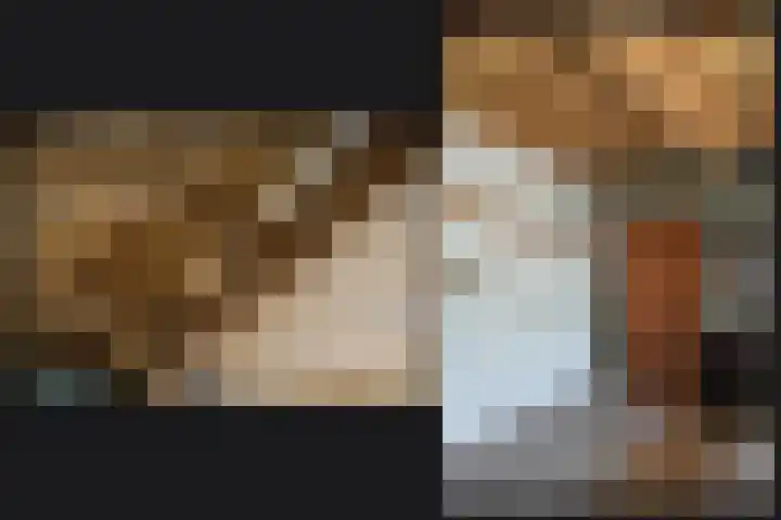 Delwijnsekade 12 Delwijnen thumbnail 23