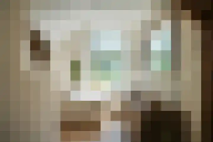 Delwijnsekade 12 Delwijnen thumbnail 24