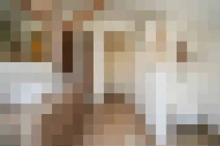 Delwijnsekade 12 Delwijnen thumbnail 25
