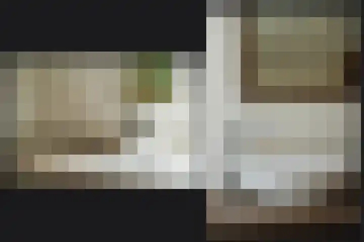 Delwijnsekade 12 Delwijnen thumbnail 26