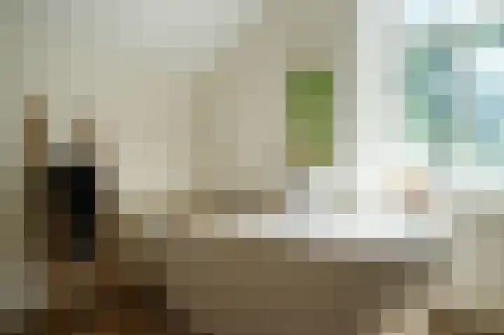 Delwijnsekade 12 Delwijnen thumbnail 27
