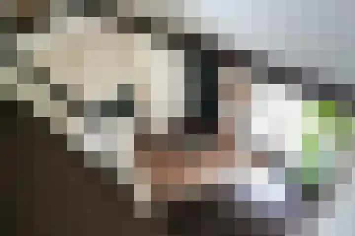 Delwijnsekade 12 Delwijnen thumbnail 31