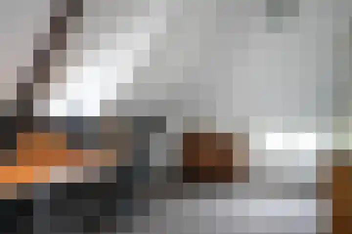 Delwijnsekade 12 Delwijnen thumbnail 33