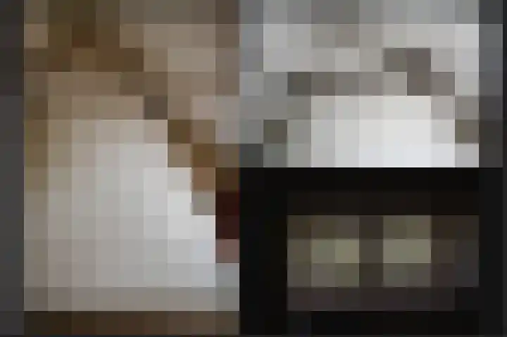 Delwijnsekade 12 Delwijnen thumbnail 35