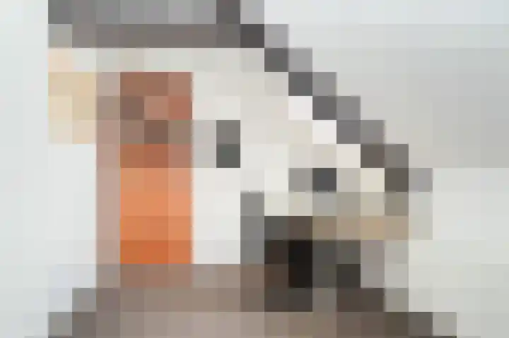 Delwijnsekade 12 Delwijnen thumbnail 36