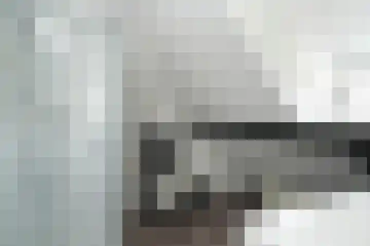 Delwijnsekade 12 Delwijnen thumbnail 37