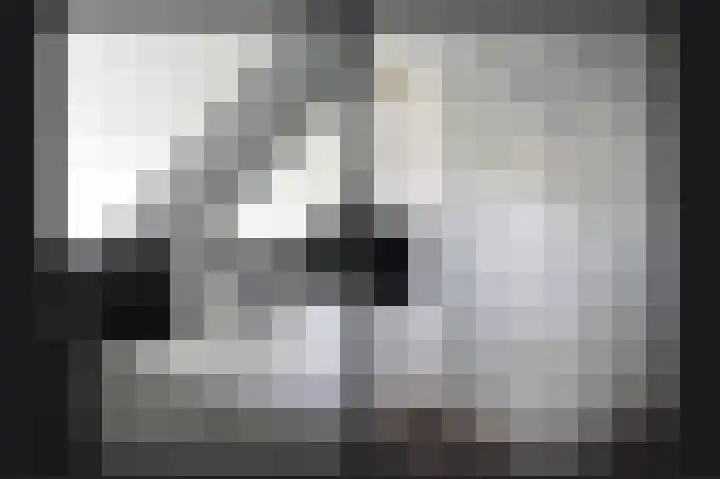 Delwijnsekade 12 Delwijnen thumbnail 38