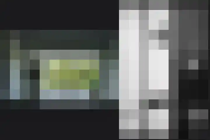 Delwijnsekade 12 Delwijnen thumbnail 39