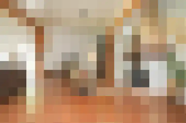 Delwijnsekade 12 Delwijnen thumbnail 4