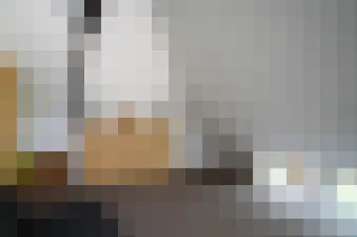 Delwijnsekade 12 Delwijnen thumbnail 41