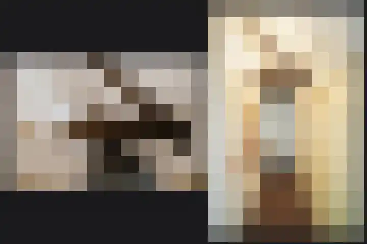 Delwijnsekade 12 Delwijnen thumbnail 42