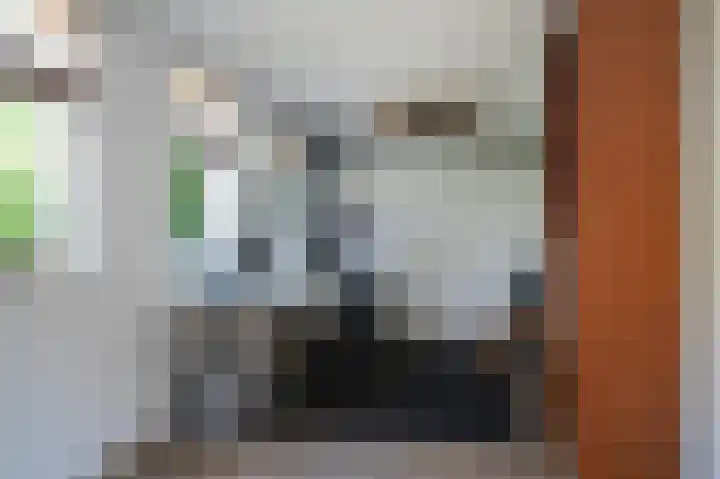 Delwijnsekade 12 Delwijnen thumbnail 47