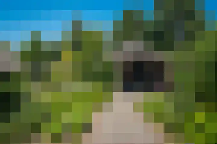 Delwijnsekade 12 Delwijnen thumbnail 48