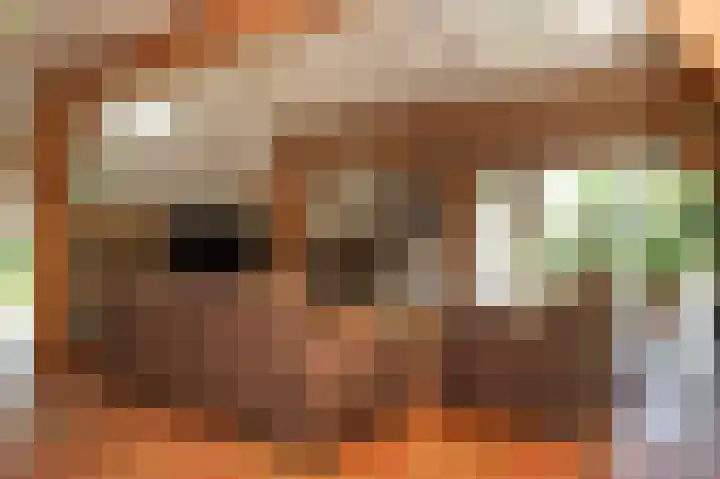 Delwijnsekade 12 Delwijnen thumbnail 5