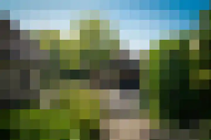 Delwijnsekade 12 Delwijnen thumbnail 51