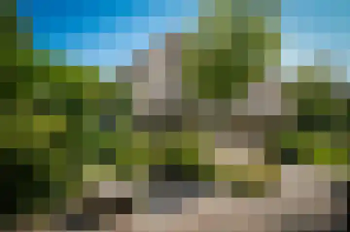 Delwijnsekade 12 Delwijnen thumbnail 52