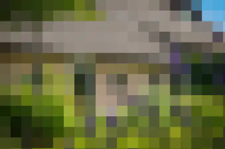 Delwijnsekade 12 Delwijnen thumbnail 54