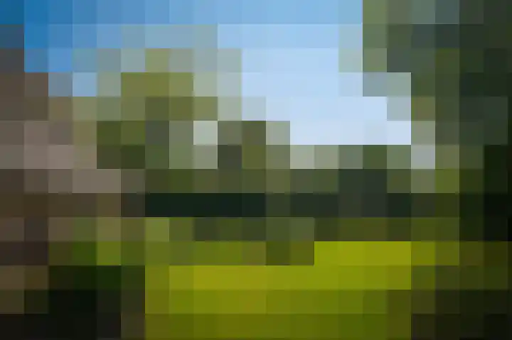 Delwijnsekade 12 Delwijnen thumbnail 56