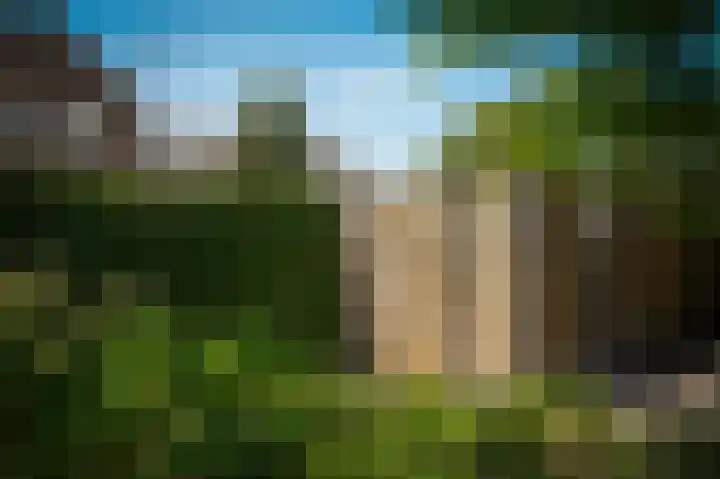 Delwijnsekade 12 Delwijnen thumbnail 57