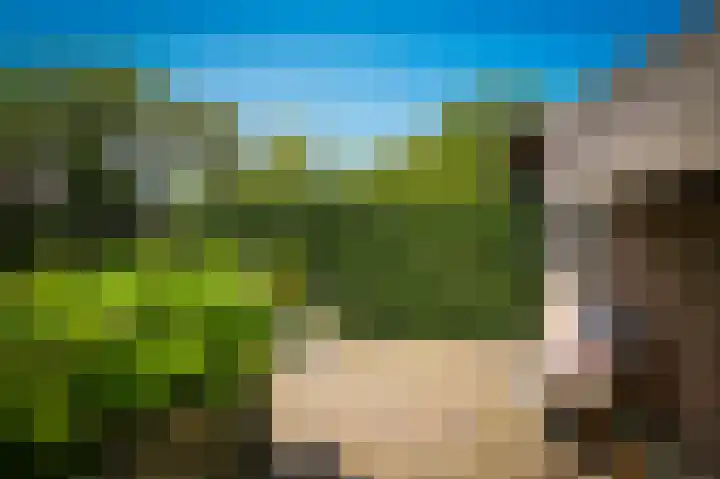 Delwijnsekade 12 Delwijnen thumbnail 59