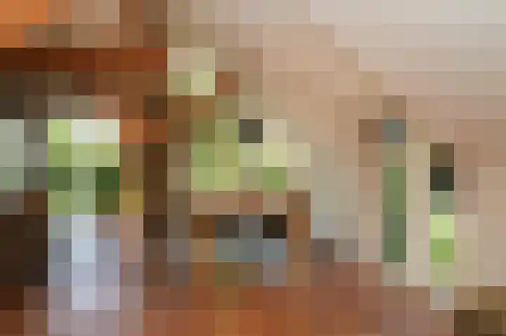Delwijnsekade 12 Delwijnen thumbnail 6